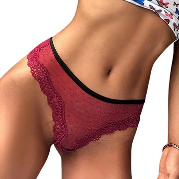 Erotic Lace Women's Panties / Transparent Low-Waist Lingerie / Ladies G-String Briefs with Heart - EVE's SECRETS
